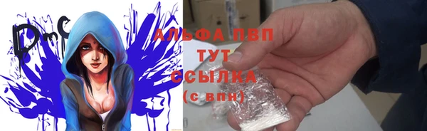 винт Аркадак