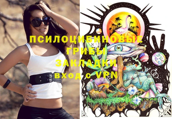 винт Аркадак