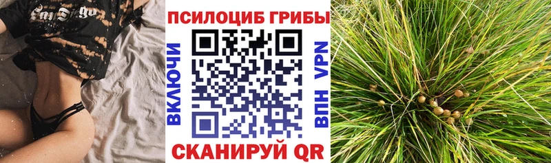Галлюциногенные грибы MAGIC MUSHROOMS наркота mega как зайти нарко площадка формула Сунжа